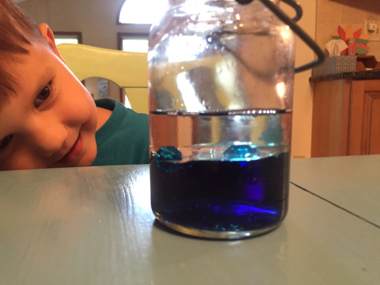 oil and water science activity